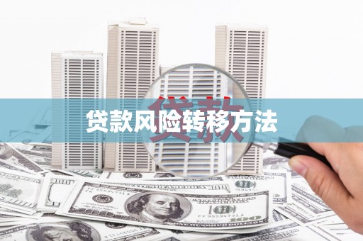 綦江贷款风险转移方法