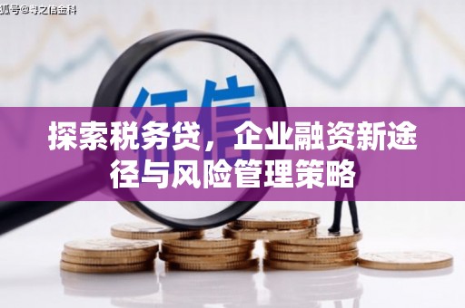 綦江探索税务贷，企业融资新途径与风险管理策略