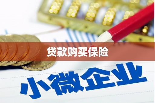 綦江贷款购买保险