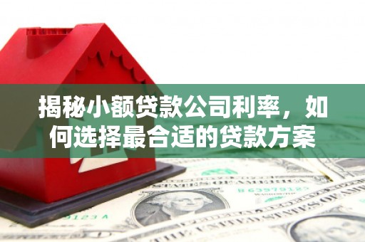 綦江揭秘小额贷款公司利率，如何选择最合适的贷款方案
